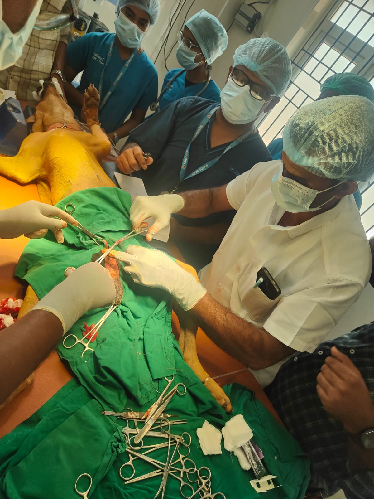 Free vaccination camp for street animals in local community