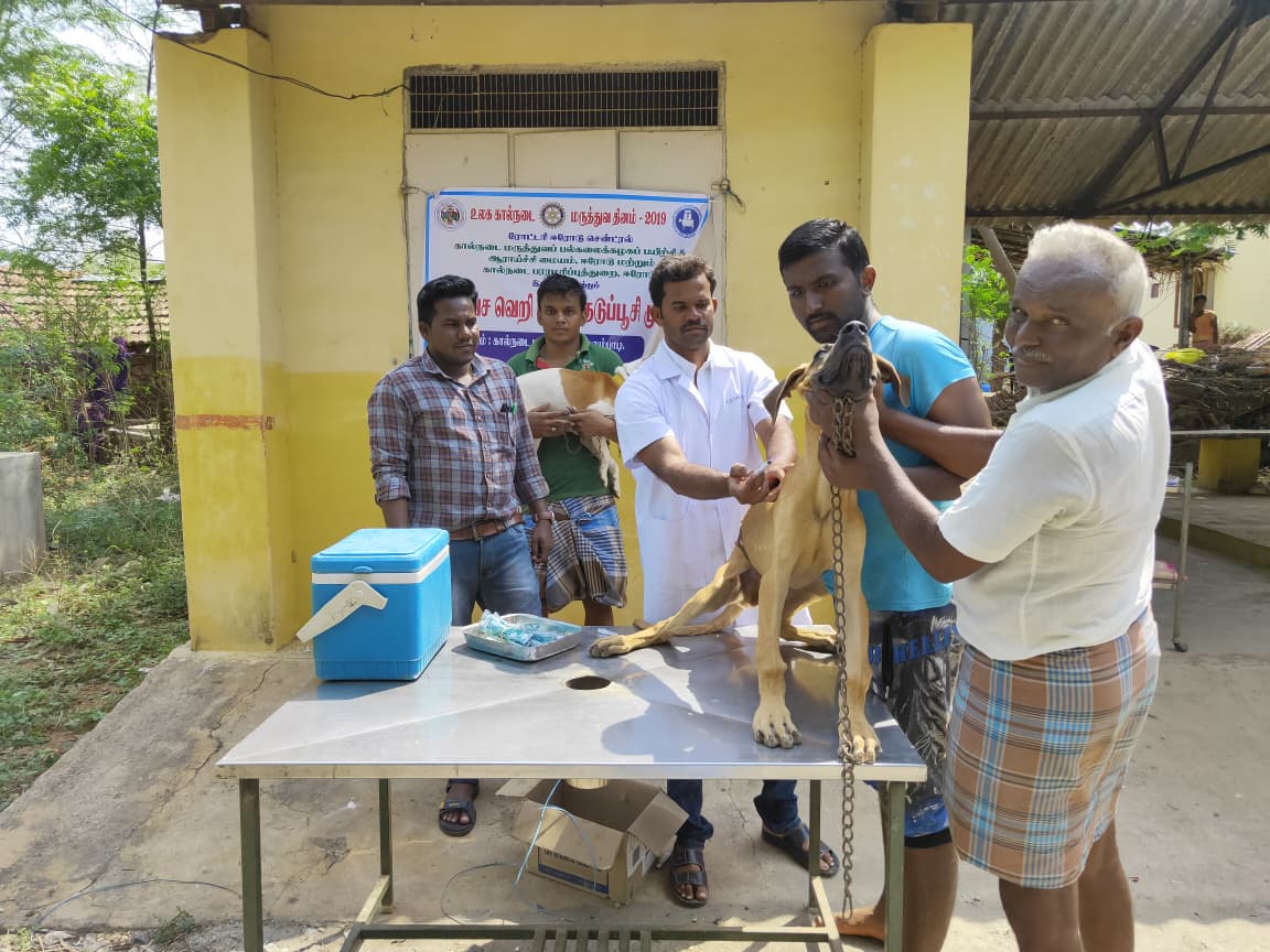 Public Pet Adoption Event – Government Veterinary Outreach. A pet adoption awareness event organized under the Animal Husbandry Department, highlighting the importance of providing permanent homes for rescued pets.