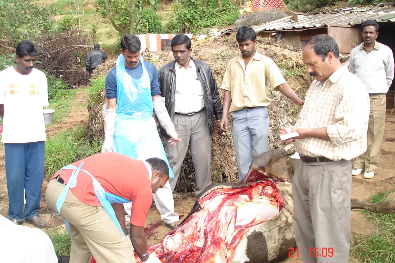 Animal Health Awareness Camp – Preventive Veterinary Care. An outreach program focusing on disease prevention, vaccination schedules, and best practices for maintaining livestock health, conducted by the Government Veterinary Department.