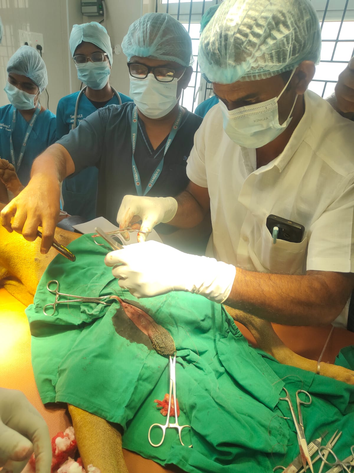 Pet Care Awareness Seminar - Educating pet owners on preventive healthcare