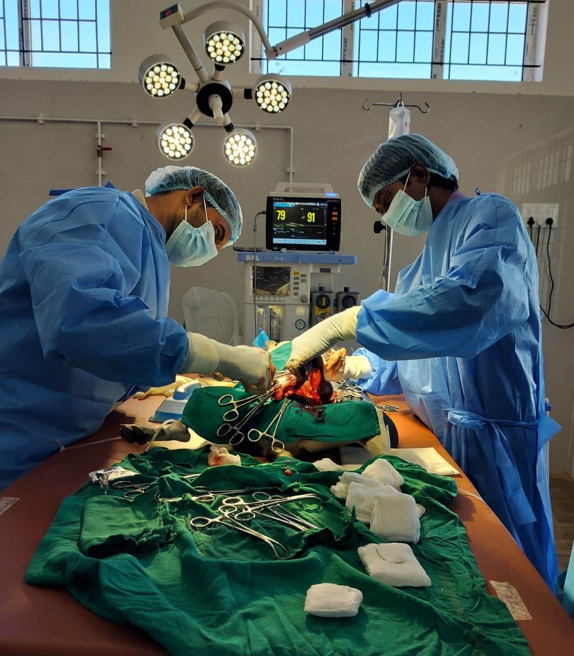 Orthopedic surgery - Fracture repair procedure